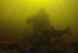 trout_fishery_1.jpg thumbnail