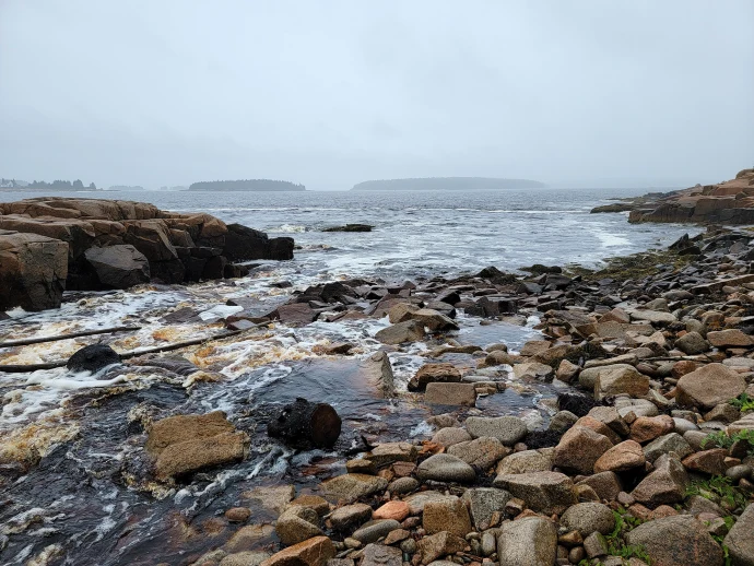 water-carbon-sea.jpg