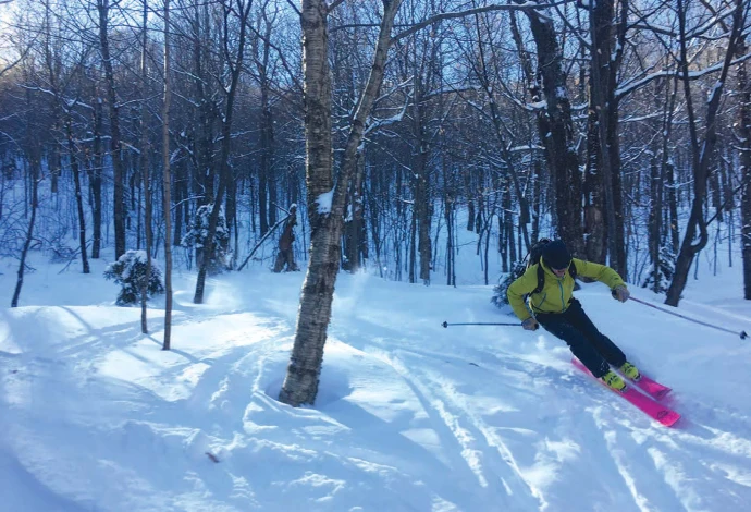 Winter skiing