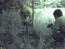 what_dave_and_ginny_found.jpg thumbnail