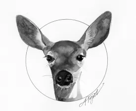 white_tailed_deer2FINAL.jpg thumbnail