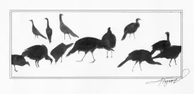 wild_turkeys.jpg thumbnail