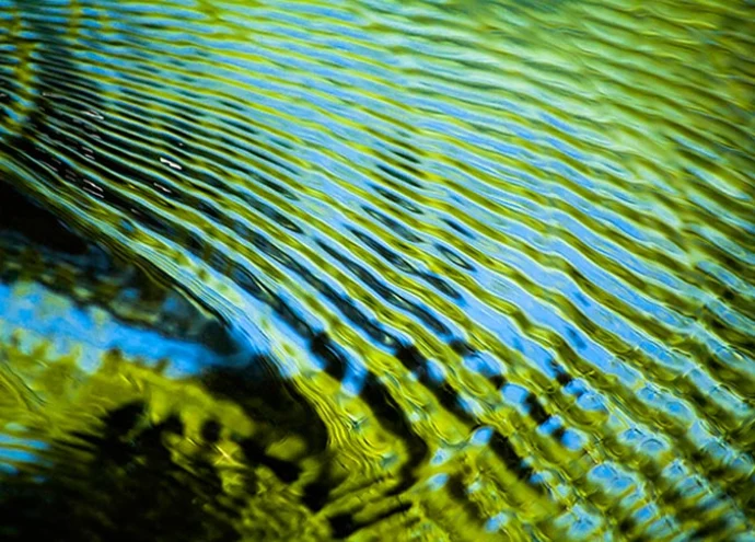 wild_water_Header.jpg
