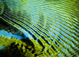 wild_water_Header.jpg thumbnail