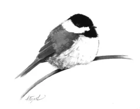 winter_chickadee.jpg thumbnail
