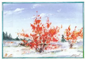winterberry.jpg thumbnail