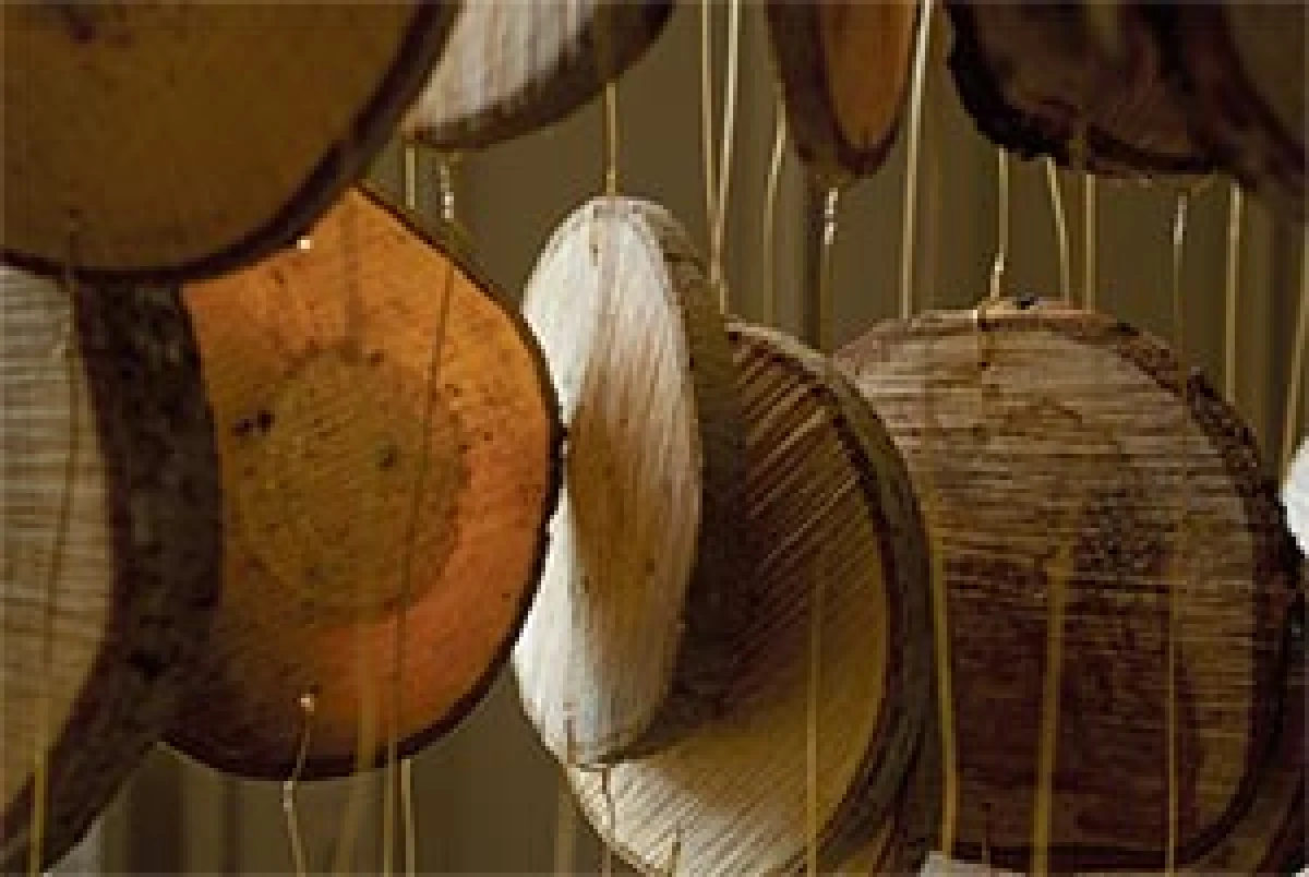 wood_circles2.jpg