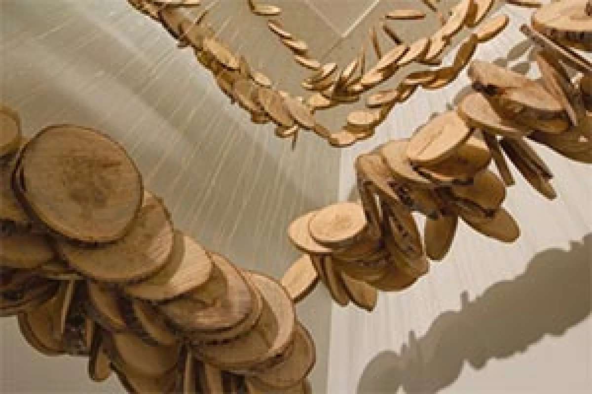 wood_circles3.jpg