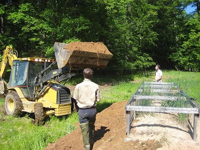 wood_turtle_spr18_7.jpg