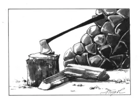 woodpile_1.jpg thumbnail