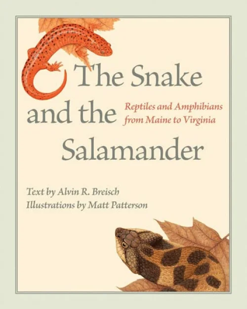 snake_salamander.jpg