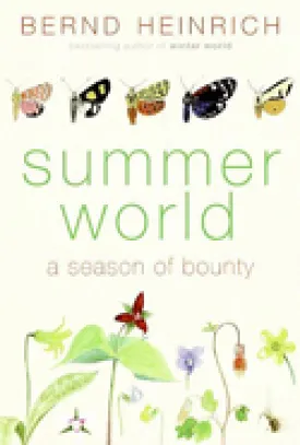 summer_world2.jpeg thumbnail