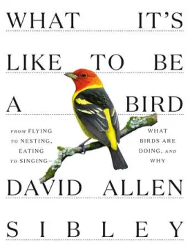 What It’s Like to Be a Bird thumbnail