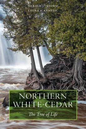 Northern White-Cedar thumbnail