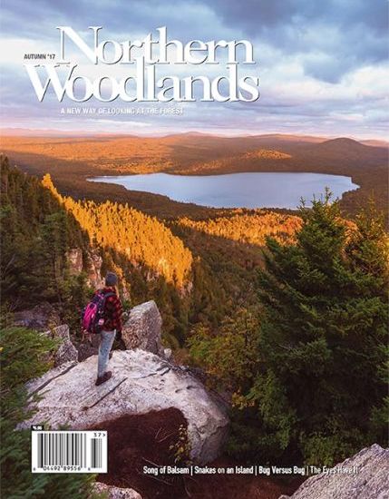 Autumn 2017 Issue | Northern Woodlands Magazine