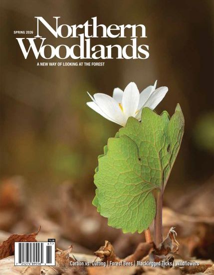 Spring 2026 Issue | Northern Woodlands Magazine