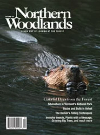 Photo by Mary Holland Autumn 2009 cover