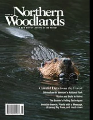 Cover of Autumn 2009