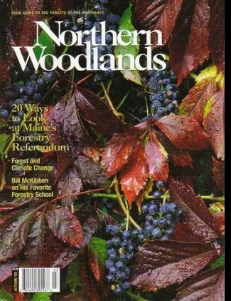 Cover of Autumn 2000