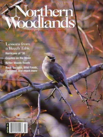 Photo by P. Brian Machanic Autumn 2002 cover