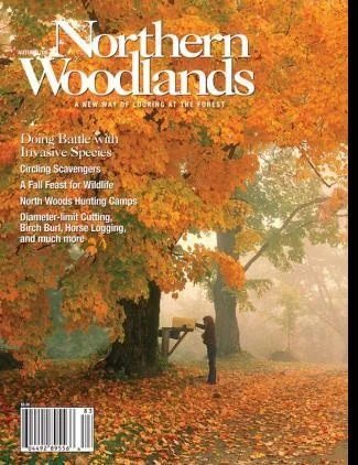 Cover of Autumn 2008