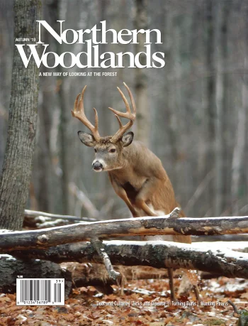 Cover Photo by Daniel J. Cox / NaturalExposures.com Autumn 2019 cover by Northern Woodlands