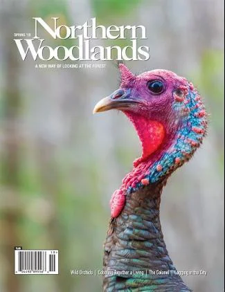Cover of Spring 2019