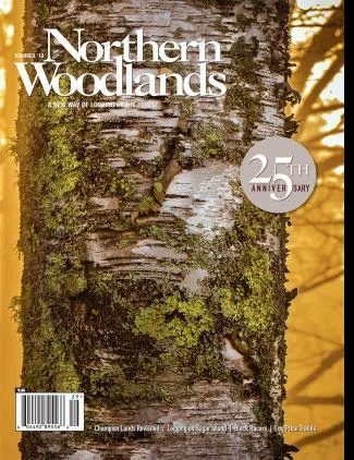 Cover of Summer 2019