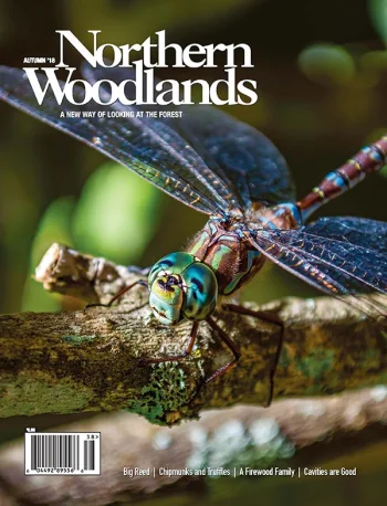 Photo by Tiffany Soukup Autumn 2018 cover