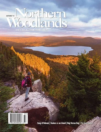 Photo by Nathanael Asaro Autumn 2017 cover