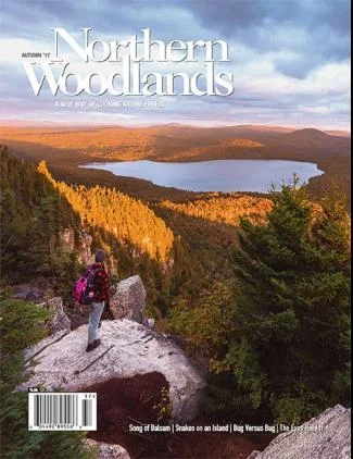 Cover of Autumn 2017
