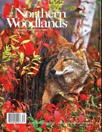 Cover of Autumn 2020
