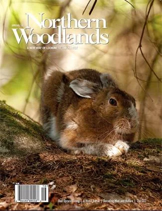 Cover of Spring 2016