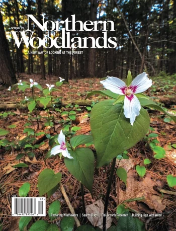 Photo by Stephen Gingold Spring 2020 cover by Stephen Gingold