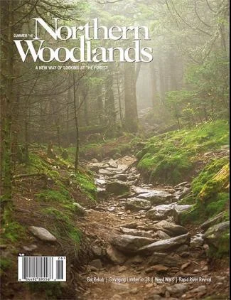 Cover of Summer 2016