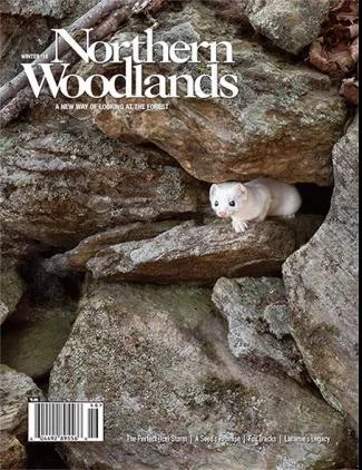 Cover of Winter 2016