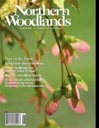 Cover of Spring 2010