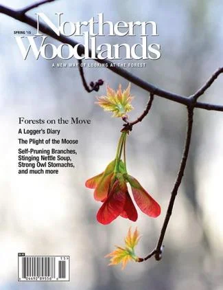 Cover of Spring 2015