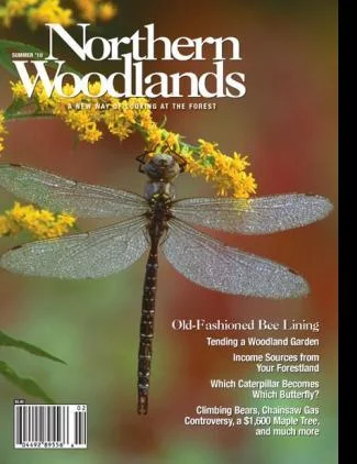 Cover of Summer 2010