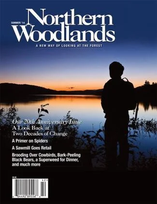Cover of Summer 2014