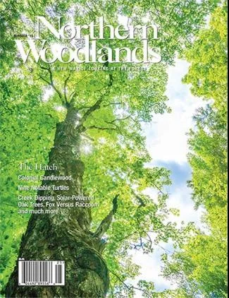 Cover of Summer 2015