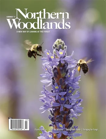 Photo by Roger Irwin Summer 2017 cover