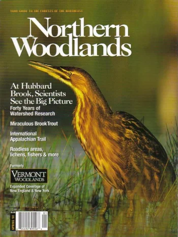 Photo by Charles H. Willey Spring 2000 cover