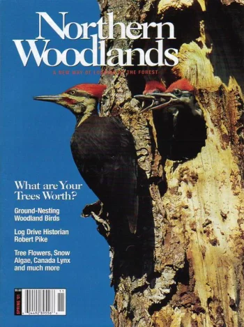 Photo by Charles H. Willey Spring 2001 cover