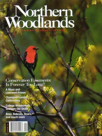 Photo by Alan Briere Spring 2002 cover
