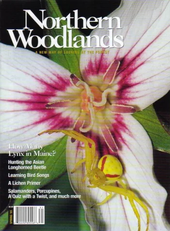 Photo by Gustav Verderber Spring 2003 cover