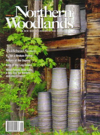 Photo by Todd Cantwell Spring 2004 cover