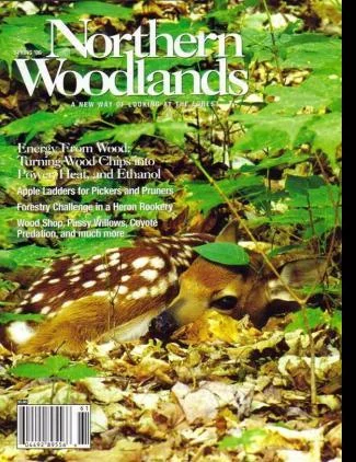 Cover of Spring 2006