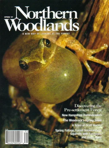 Photo by Gustav W. Verderber Spring 2007 cover
