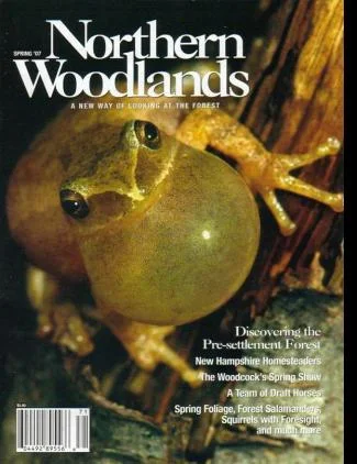 Cover of Spring 2007